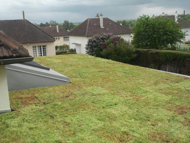 Toiture végétalisée Caen