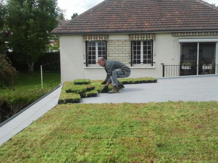 Toiture végétalisée Caen