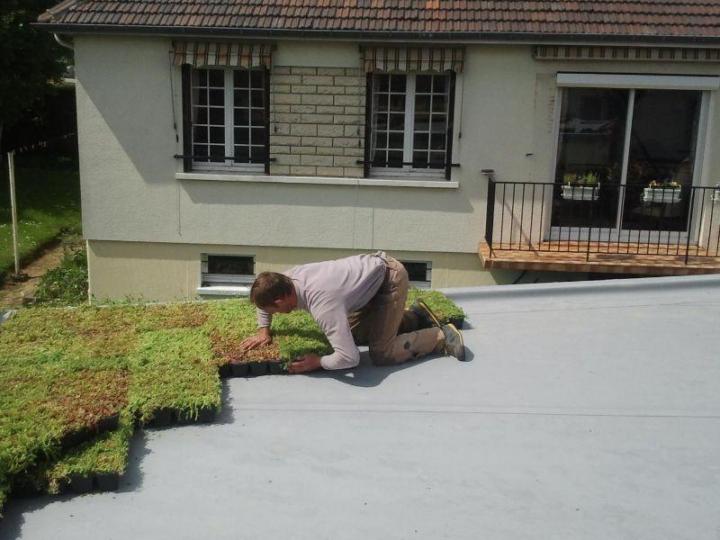 Toiture végétalisée Caen