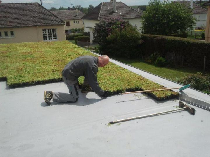 Réalisation du toit végétalisée