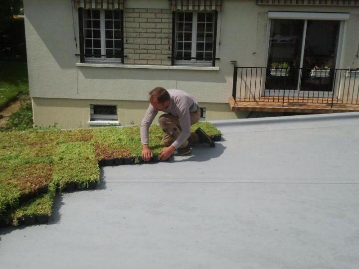 Pose de toiture végétale Caen
