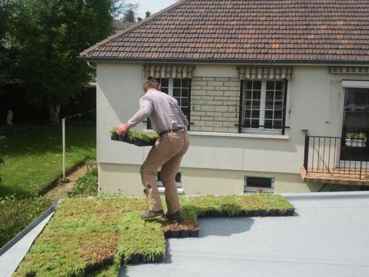 Pose de toiture végétale Caen